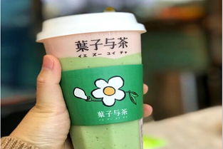 加盟葉子與茶需多少費(fèi)用？冰淇淋加盟機(jī)遇解析